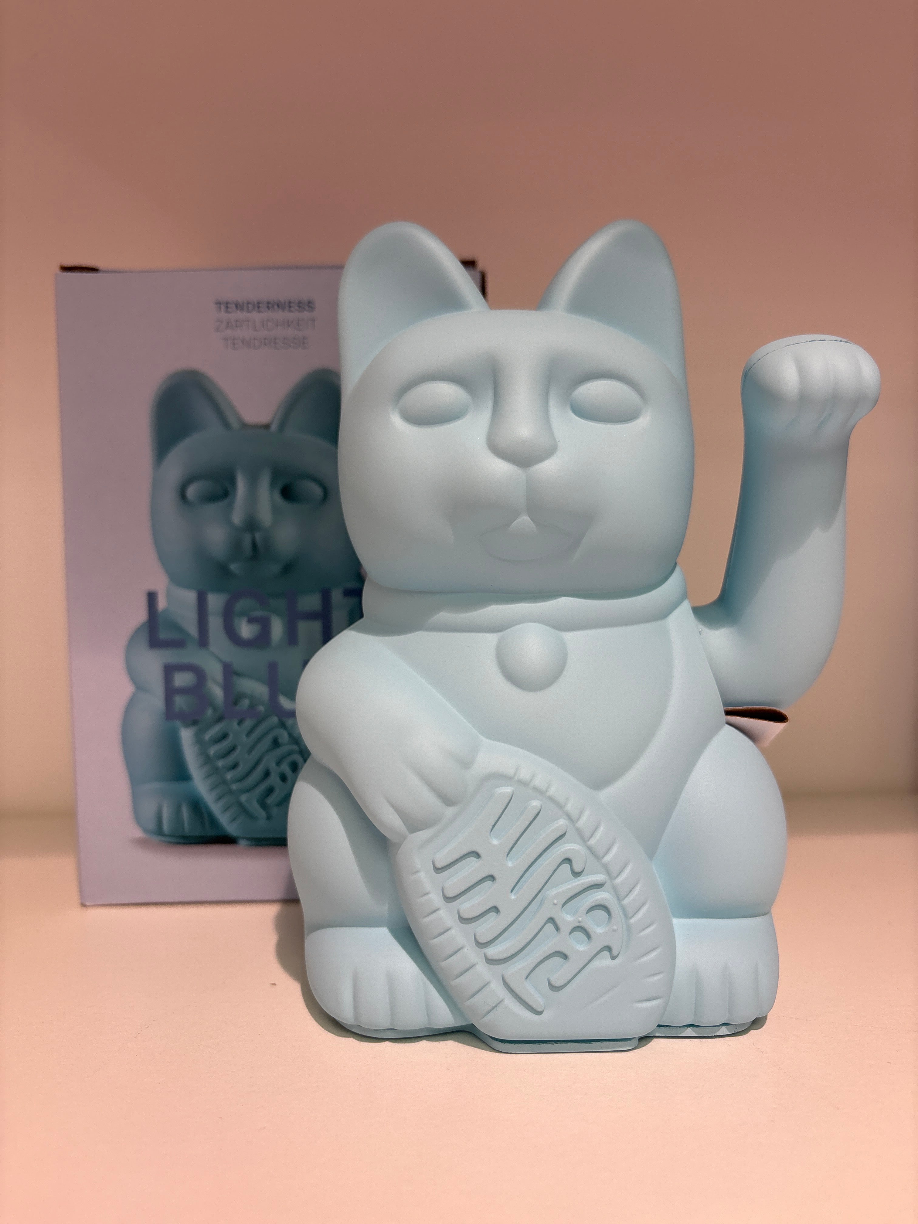 DONKEY Lucky CAT