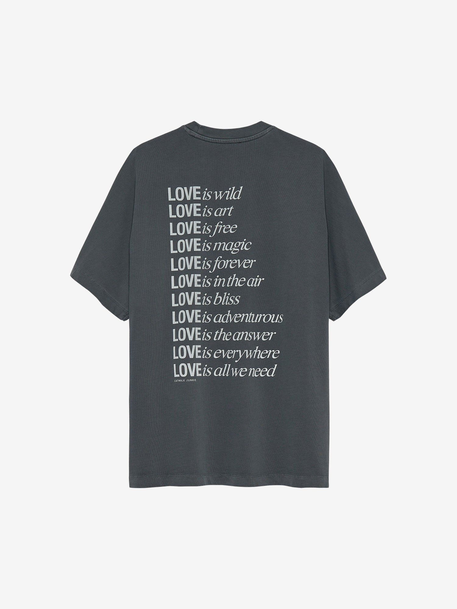 CWJ Oversized T shirt Grey