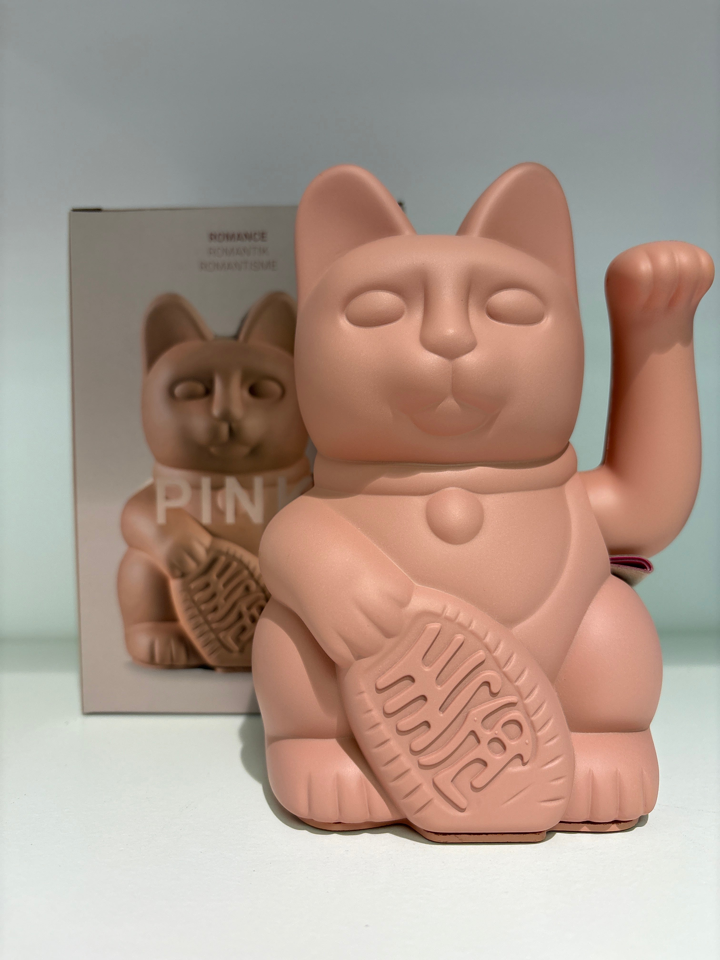 DONKEY Lucky CAT
