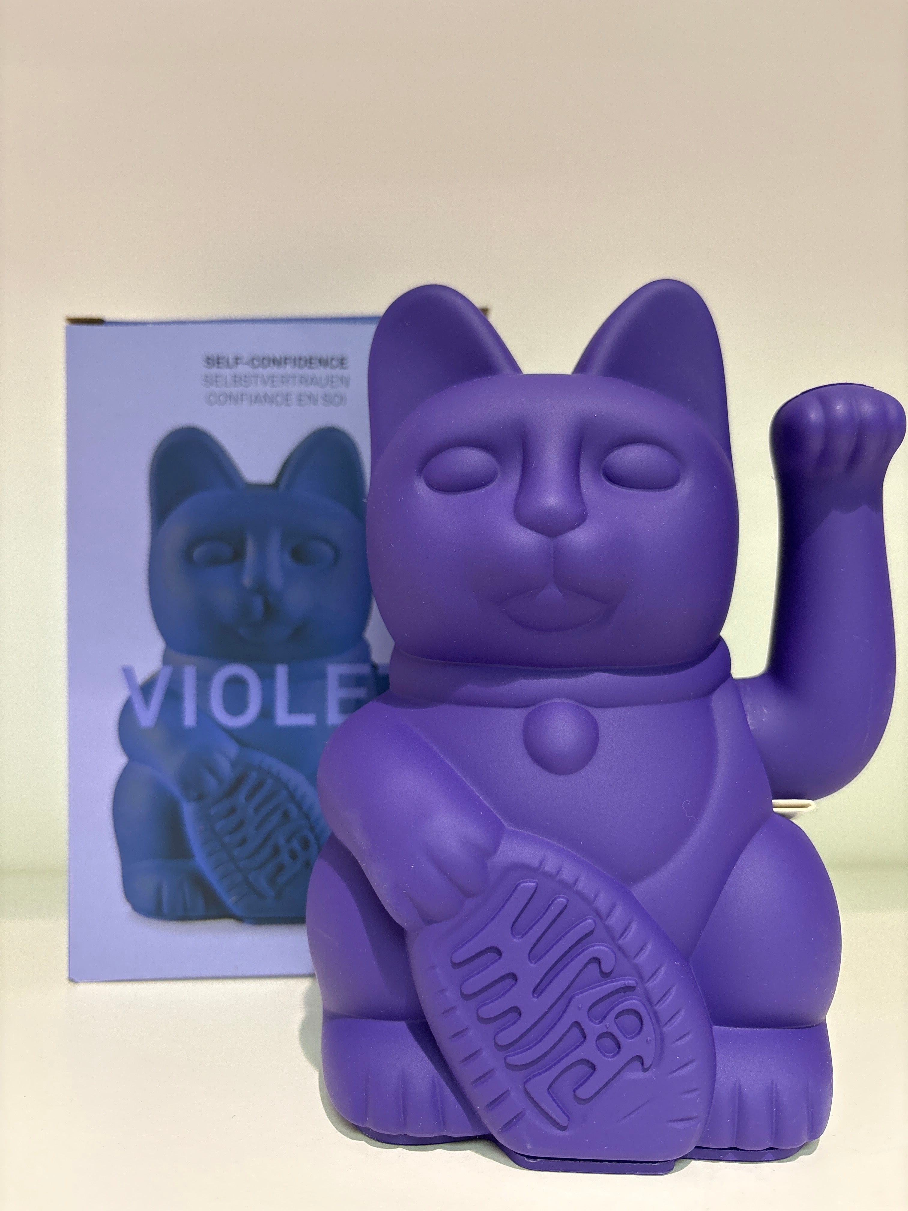DONKEY Lucky CAT