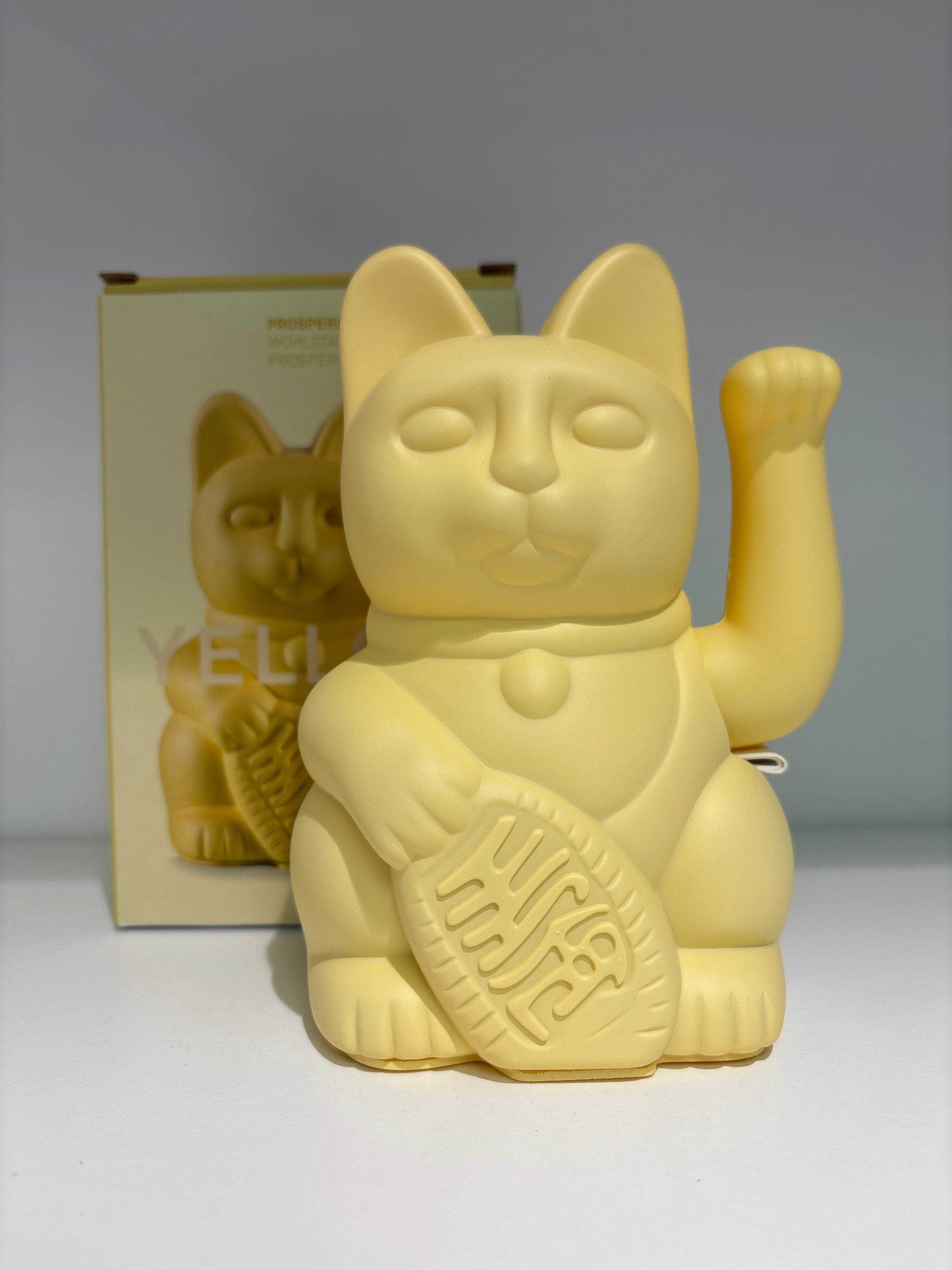DONKEY Lucky CAT