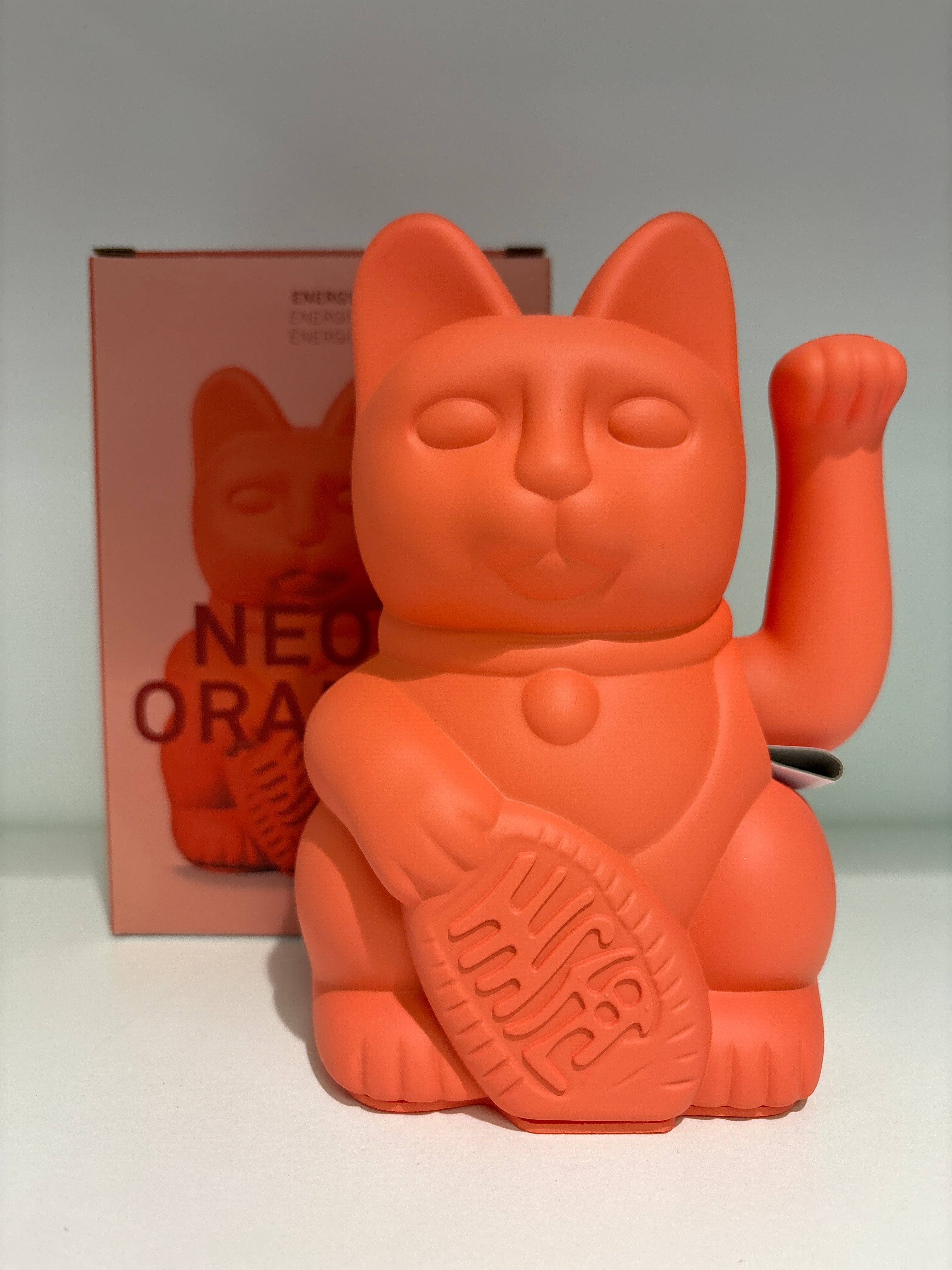 DONKEY Lucky CAT