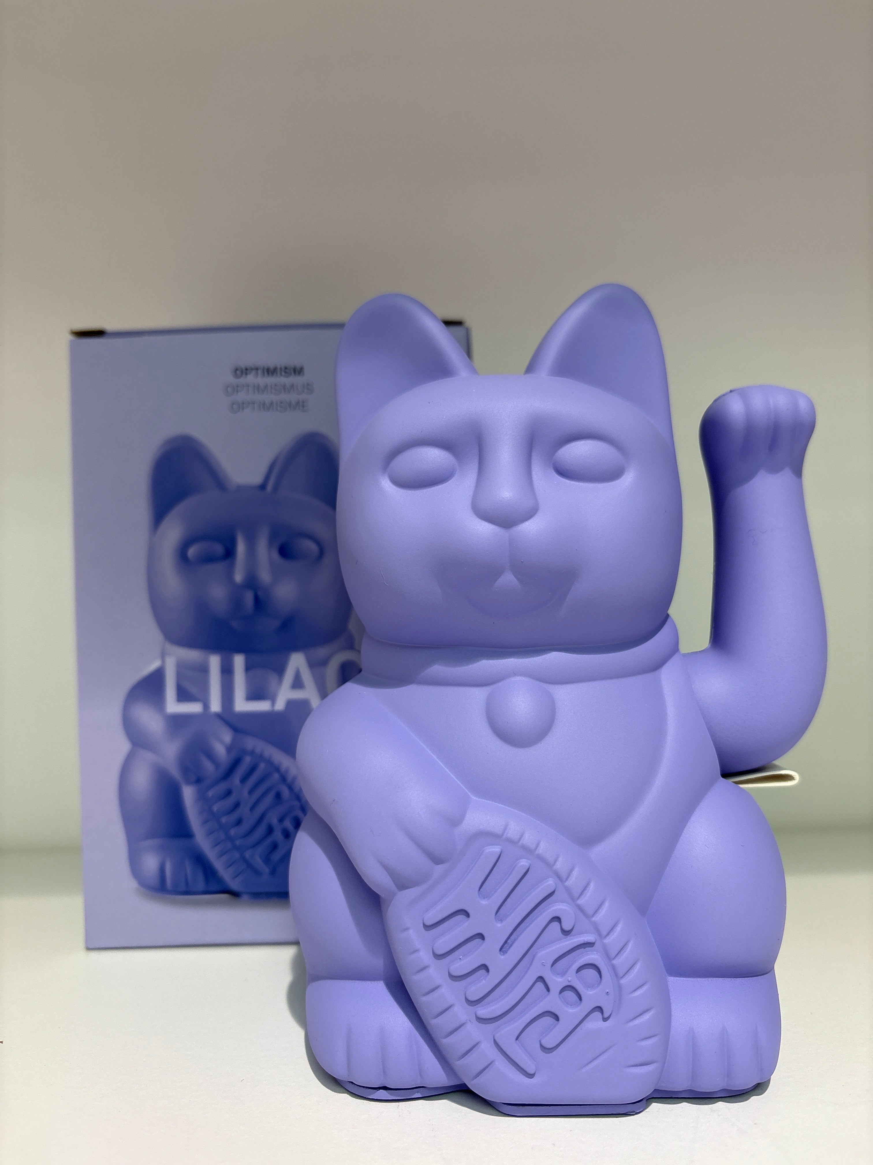 DONKEY Lucky CAT