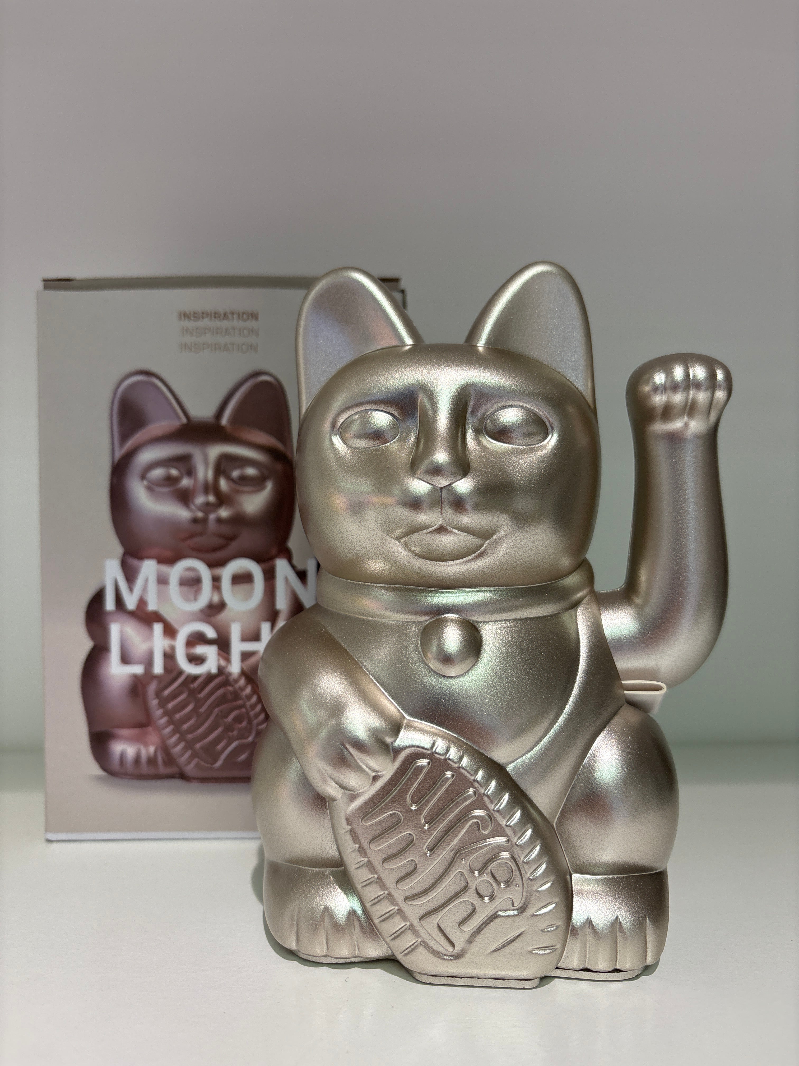 DONKEY Lucky CAT