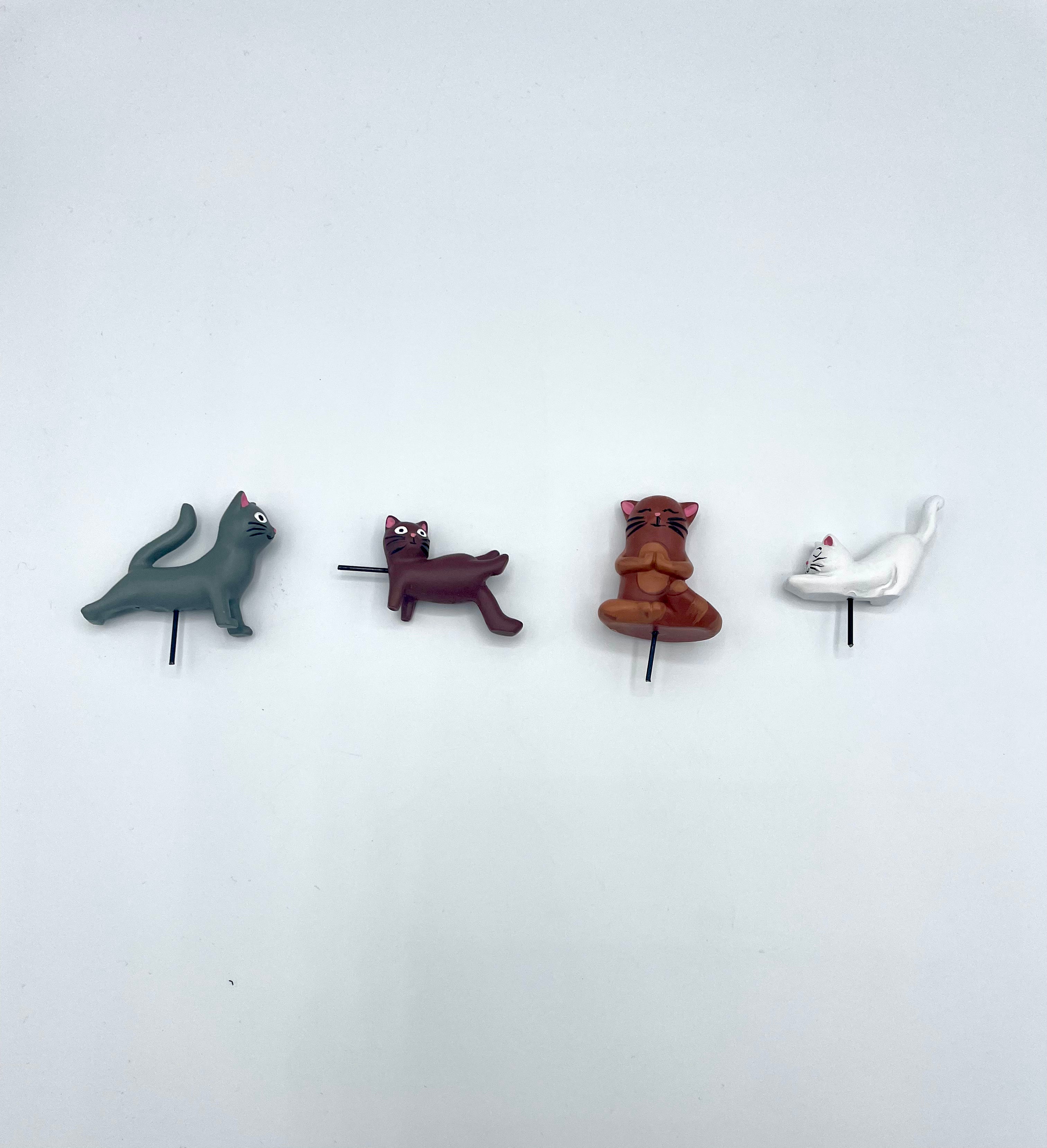 Yoga Katzen für den Blumentopf