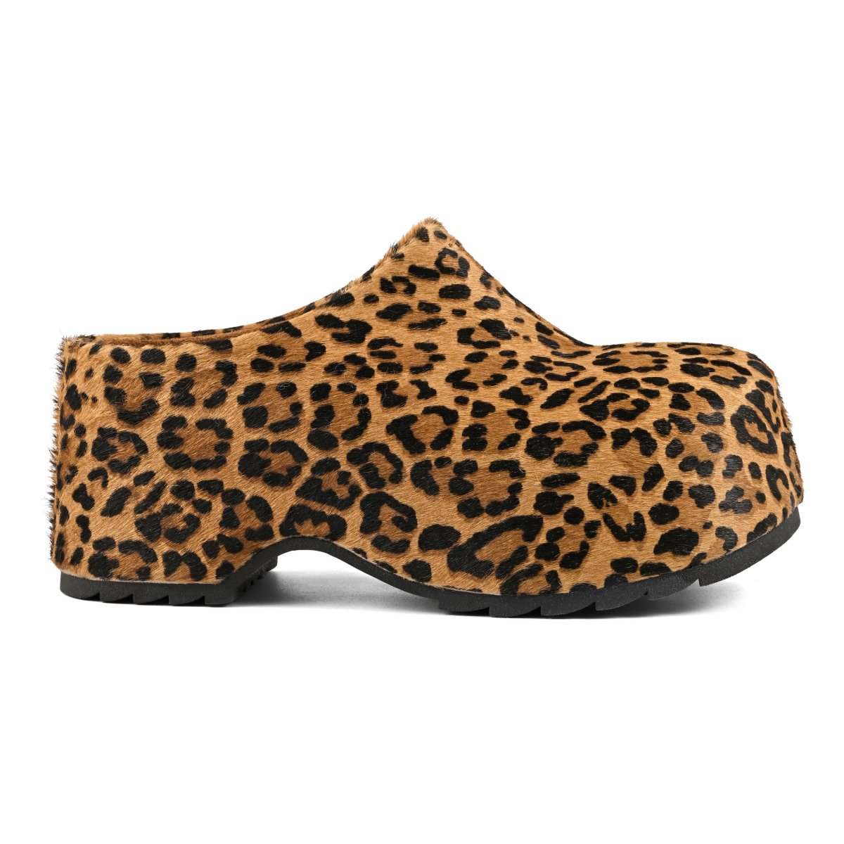Clog COC Leo