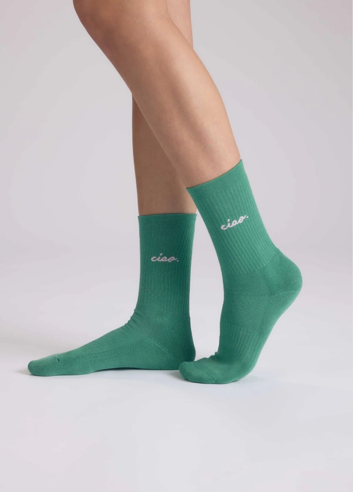 NBDC CIAO SOCKEN