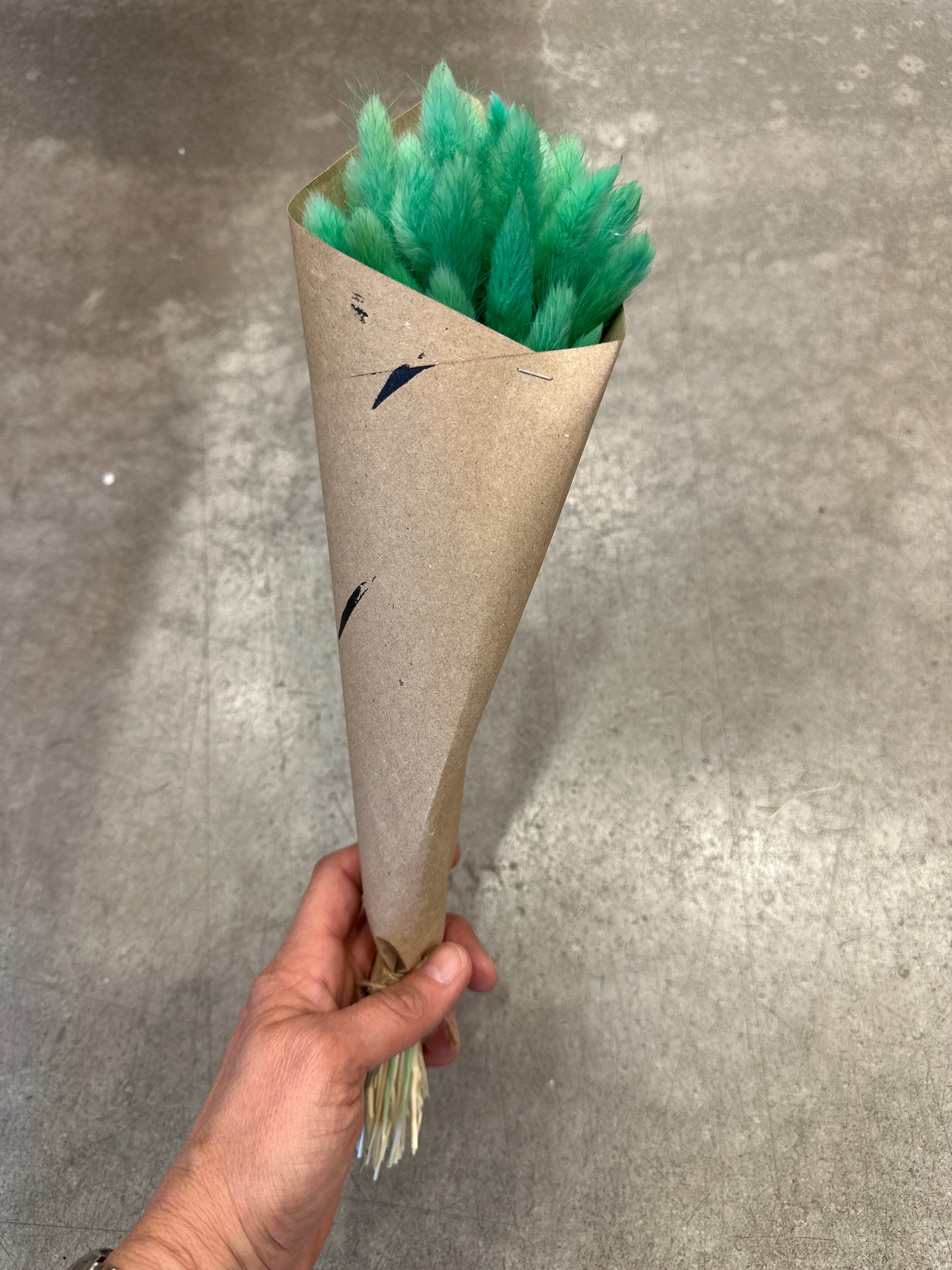 Gräser getrocknet