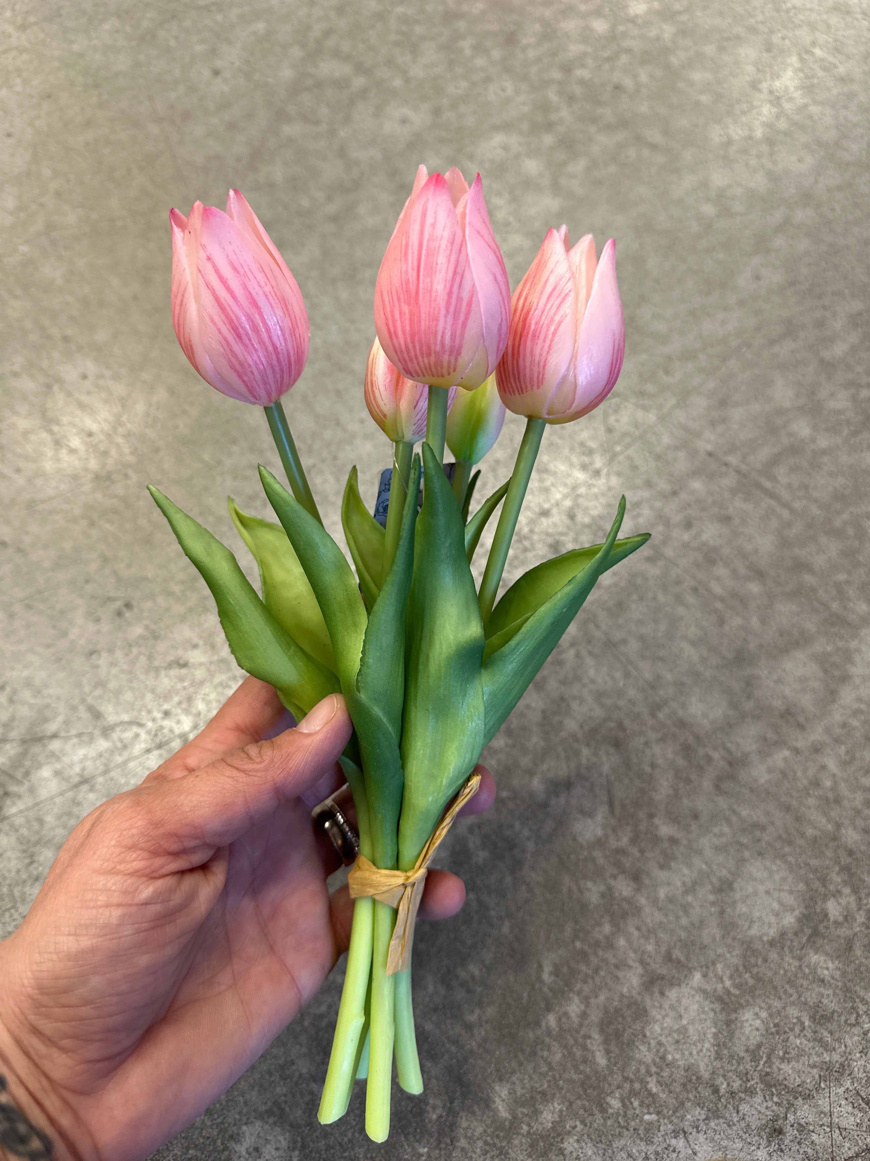 Tulpen