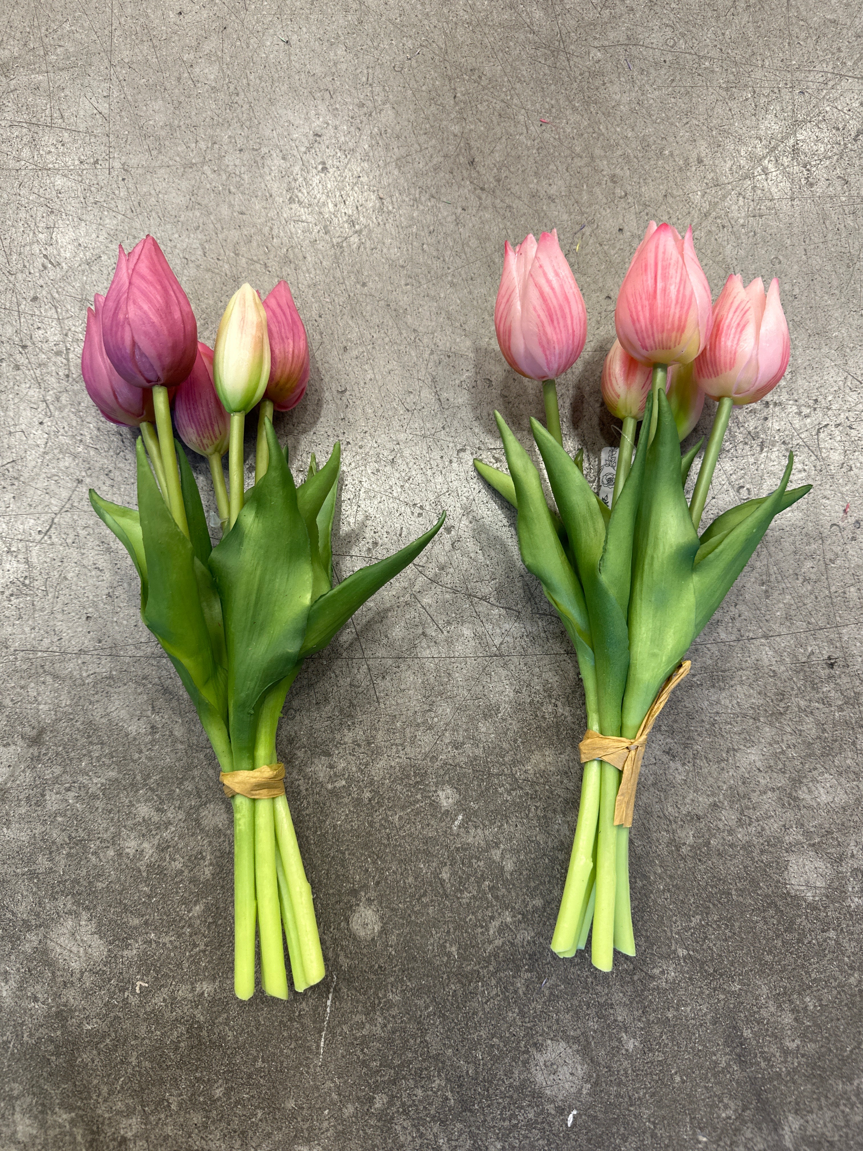 Tulpen