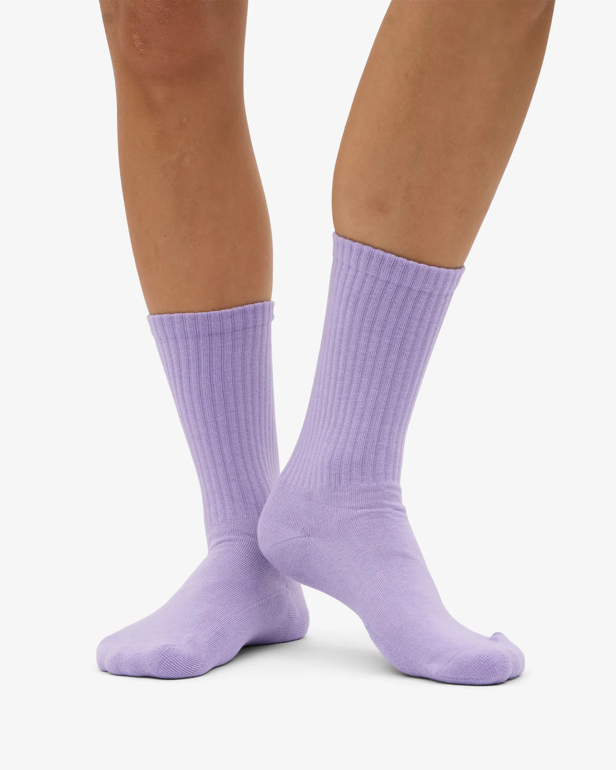 CFS Active Sock - Soft Lavender