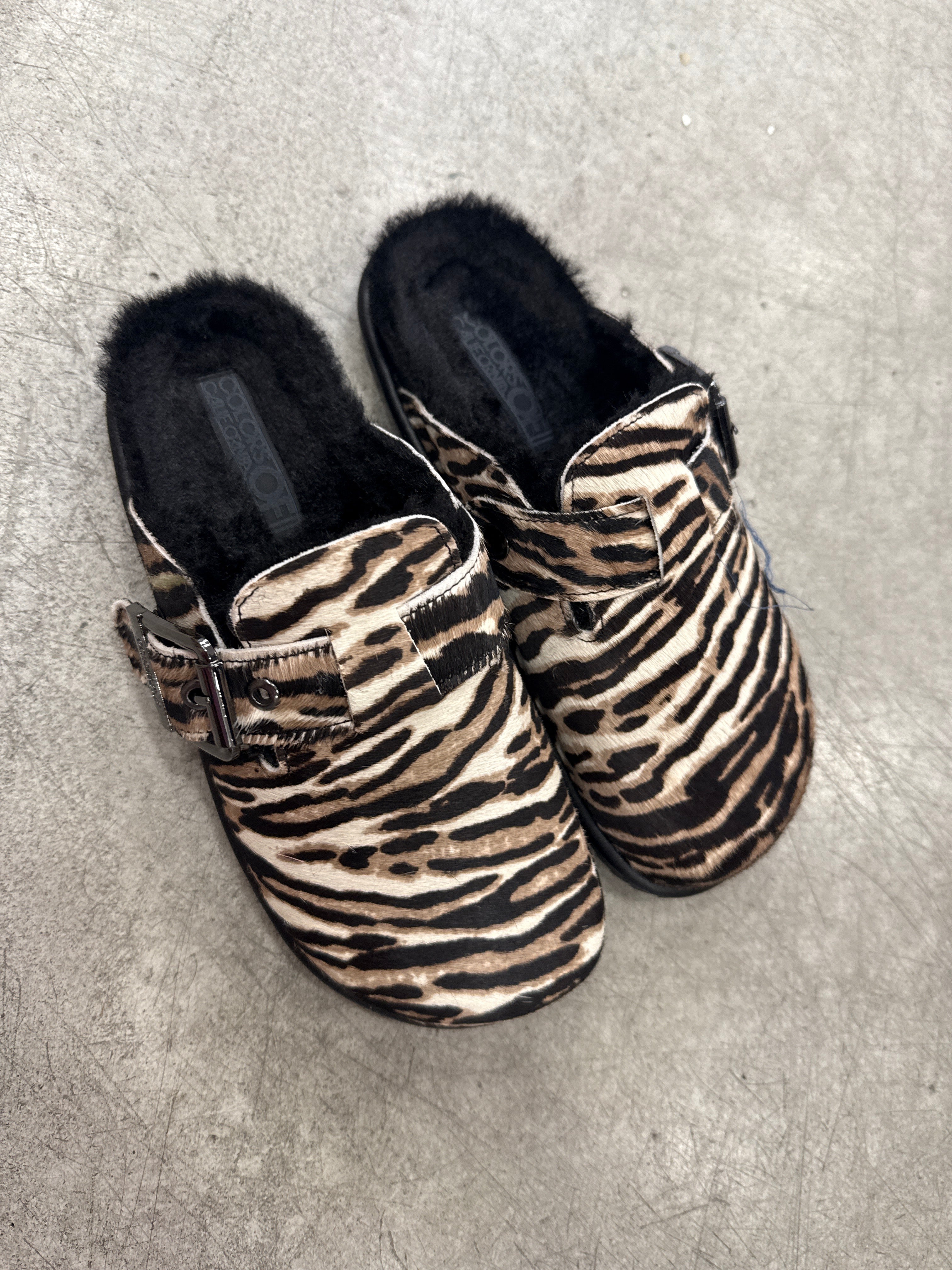 Schuhe Clog COC Zebra