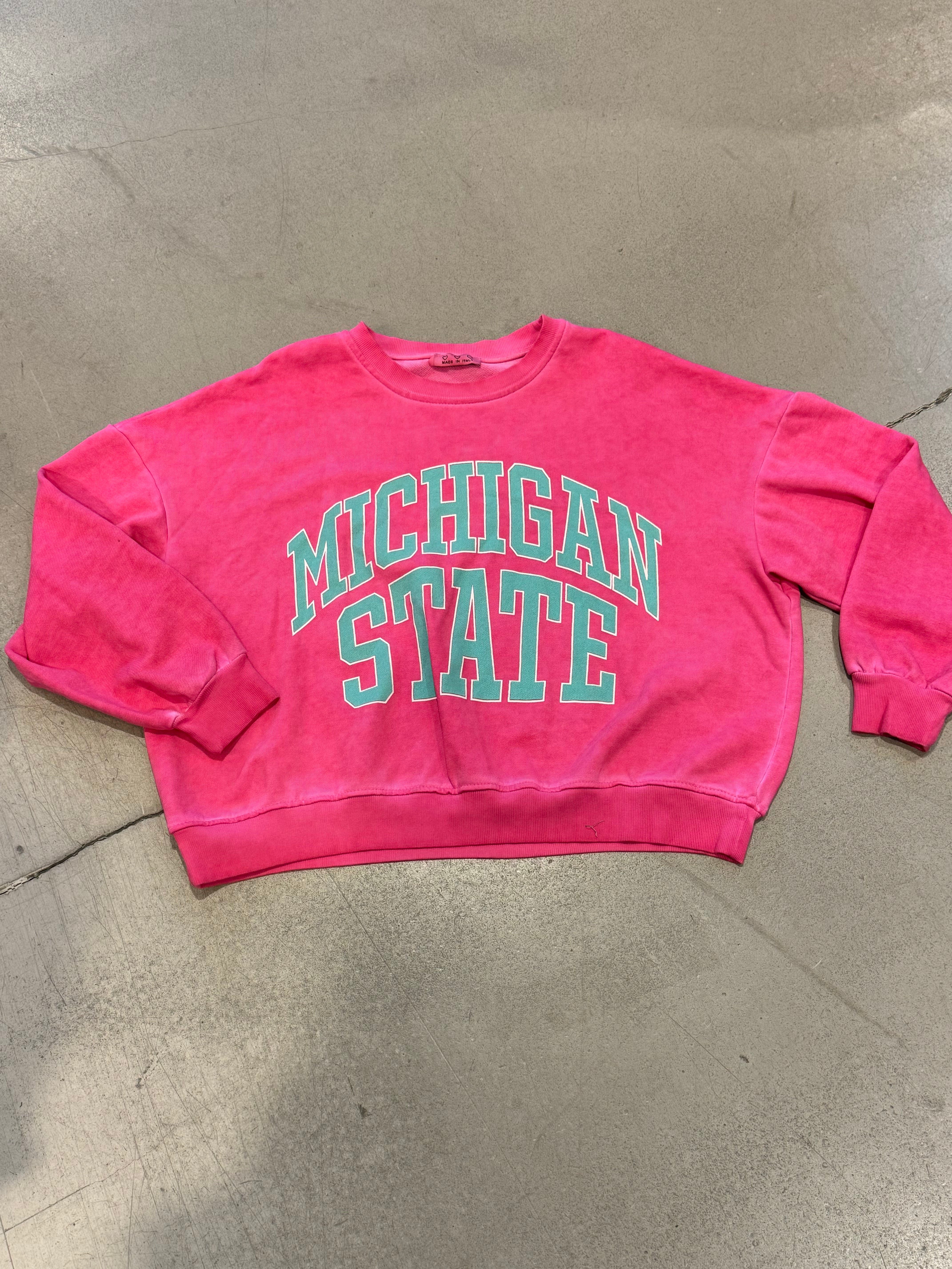 Pullover Cropped MICHIGAN