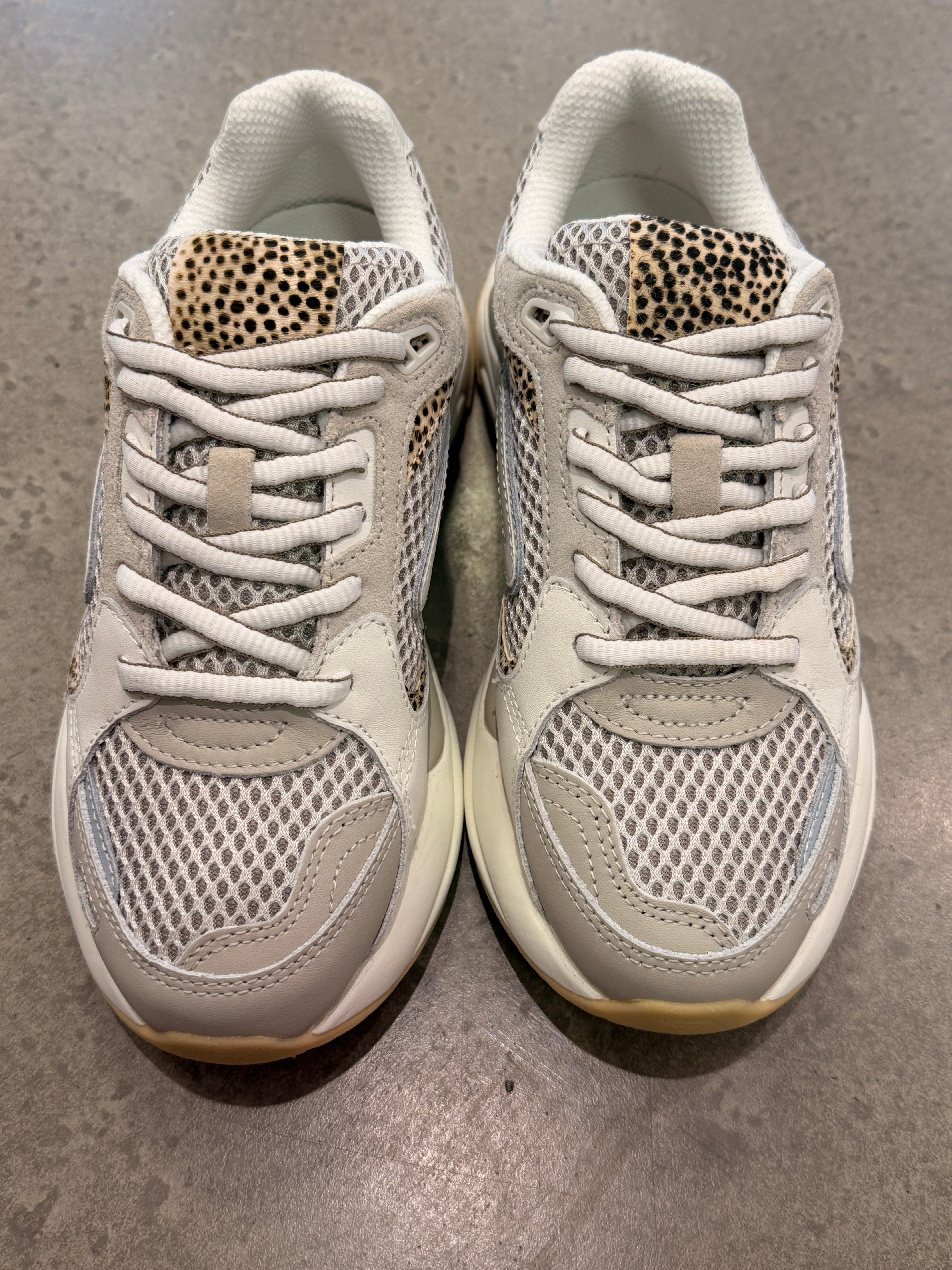 Schuhe HUB Leo