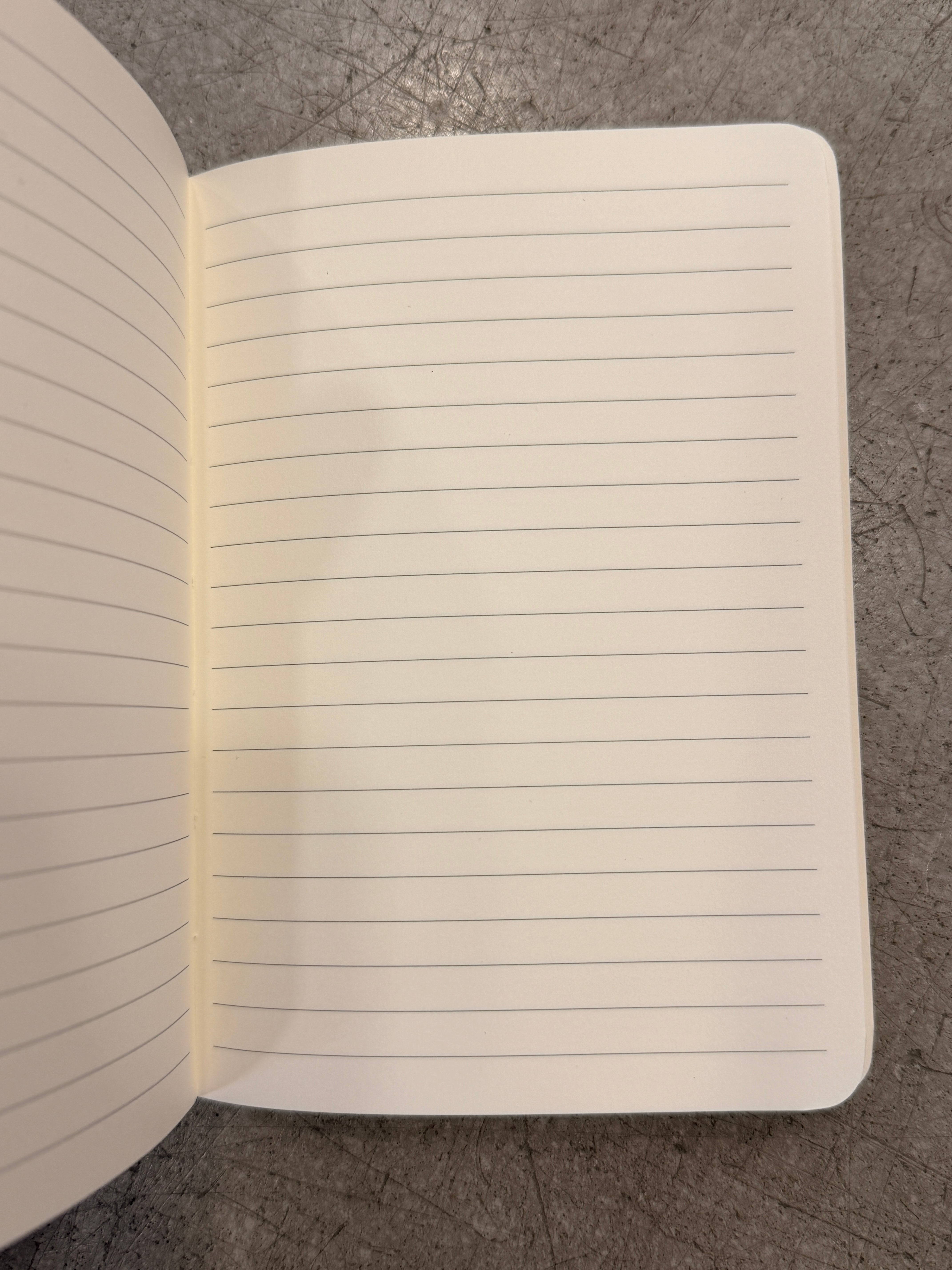 Notizbuch Hijinx