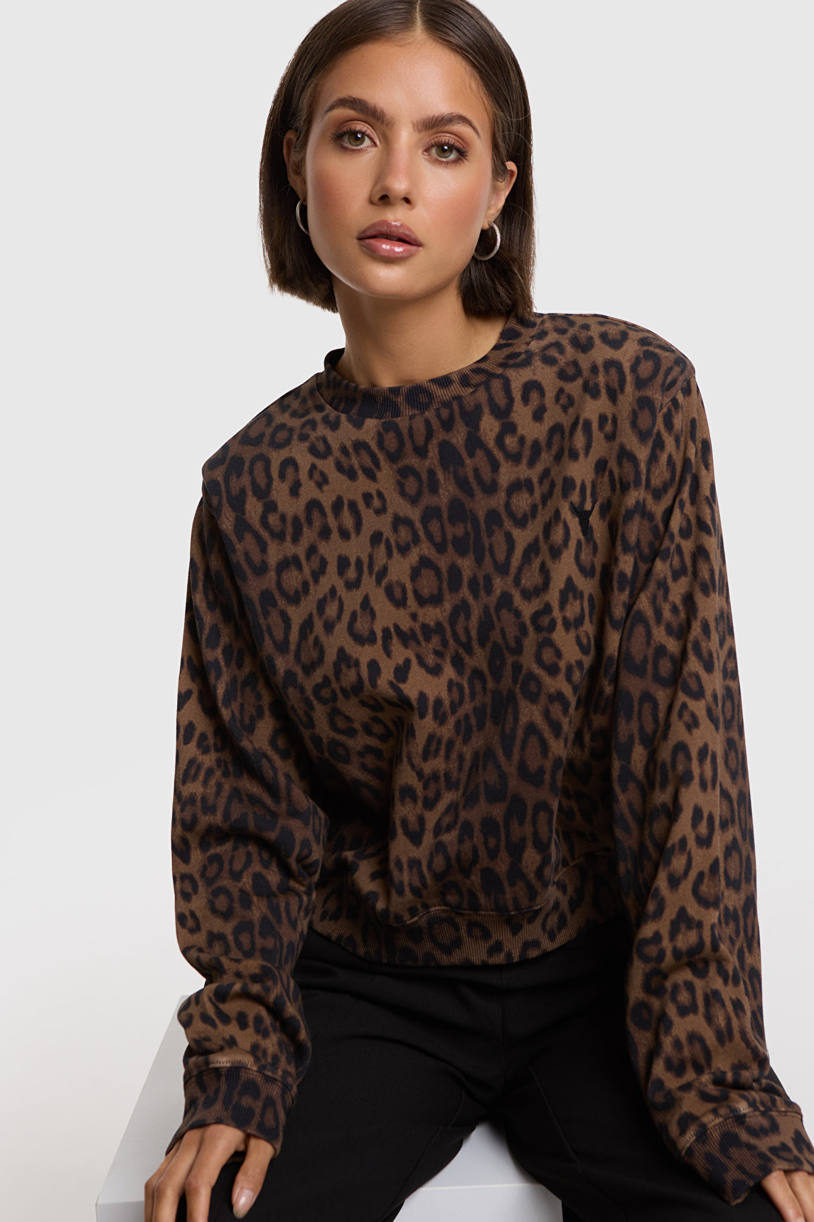 ALIX The Label Leopard Sweater in Animal – Vorderansicht